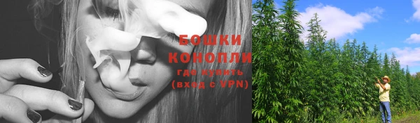 ешки Корсаков