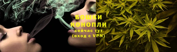 ешки Корсаков