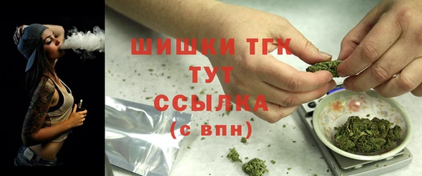 ПСИЛОЦИБИНОВЫЕ ГРИБЫ Костерёво