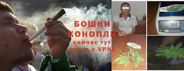ешки Корсаков