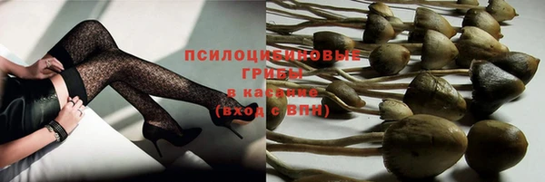 прущие крисы Коряжма