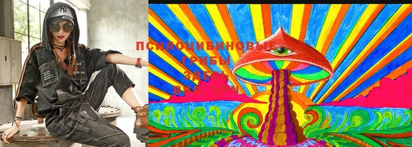 прущие крисы Коряжма