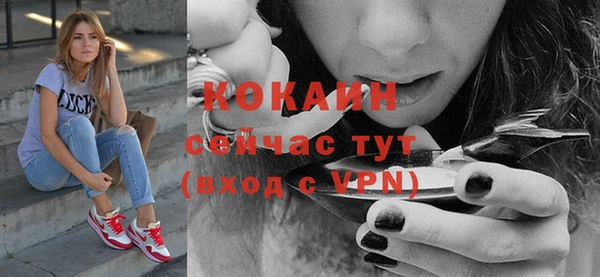 ешки Корсаков