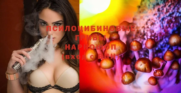 прущие крисы Коряжма