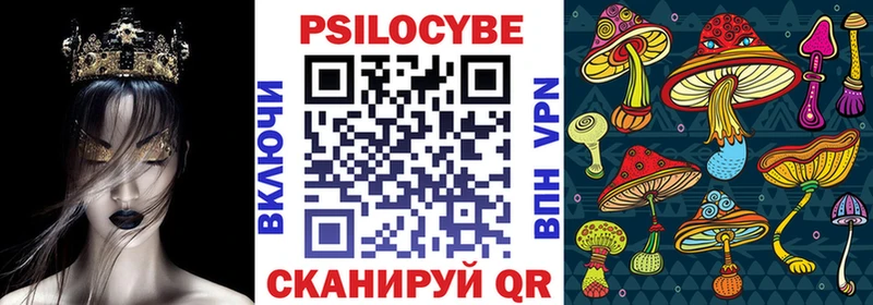 Купить где  Каргат  Галлюциногенные грибы Psilocybe 